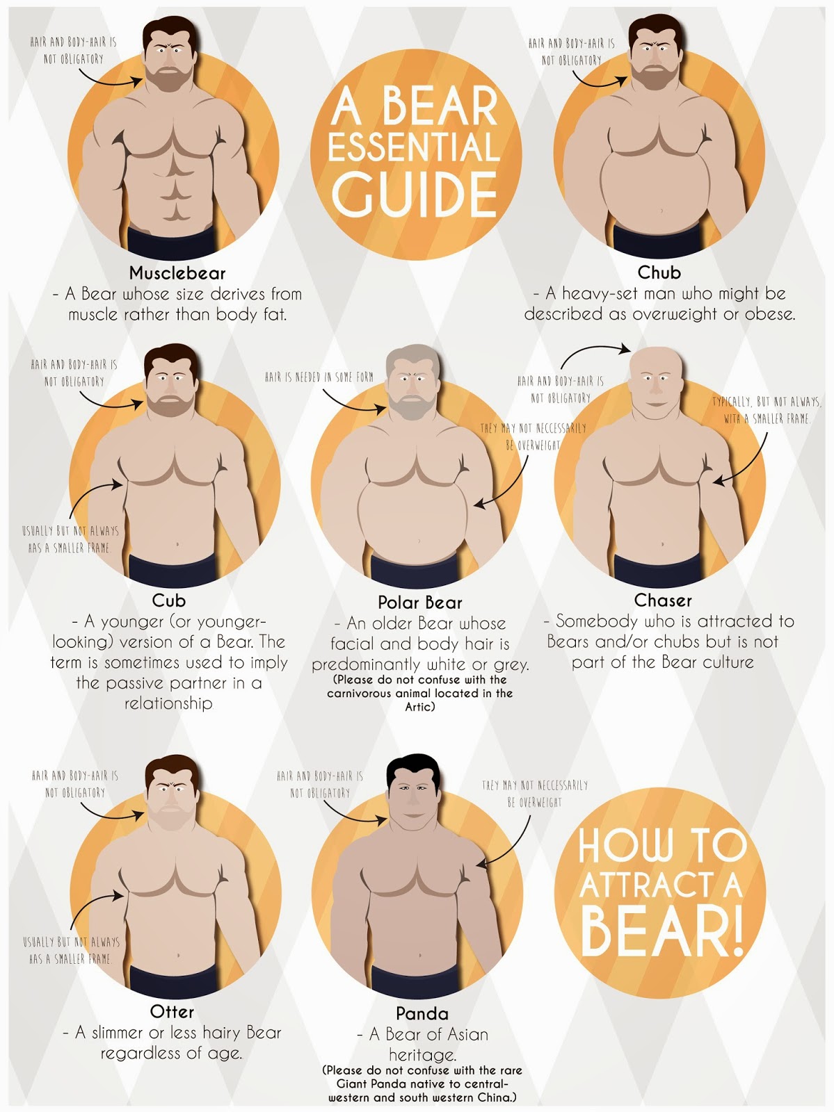 Bear body